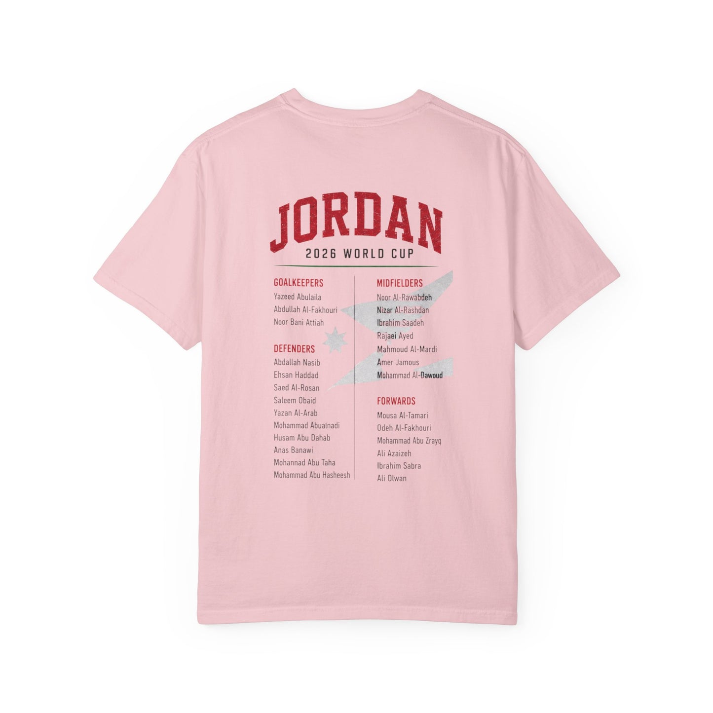 FIFA JORDAN Unisex Garment-Dyed T-shirt
