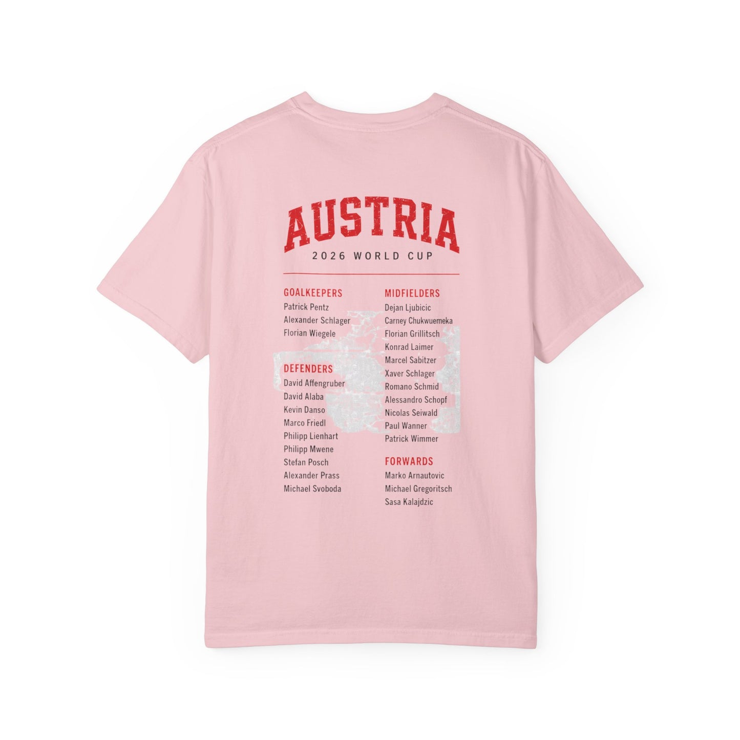 AUSTRIA Unisex Garment-Dyed T-shirt