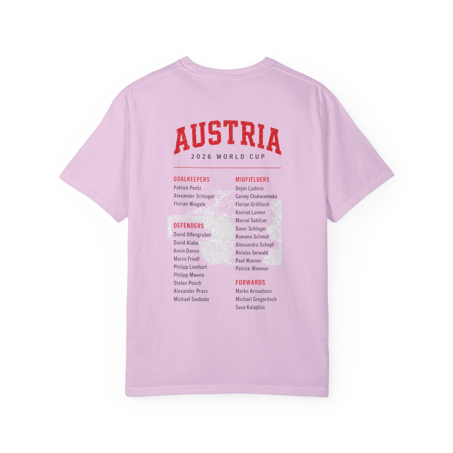 AUSTRIA Unisex Garment-Dyed T-shirt